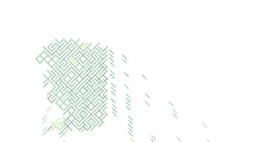 Vektör Canlandırması Çapraz Çizgileri Slovenya Haritasına Kayıyor