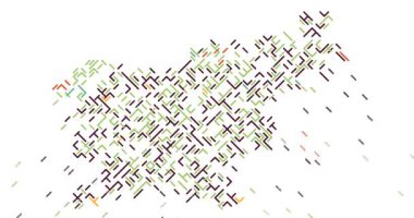 Slovenya 'nın Şeklini Oluşturan Dijital Çapraz Gruplar