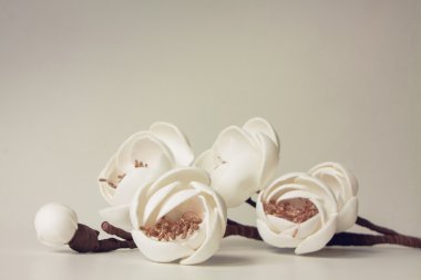 Romantik çiçek çiçekler