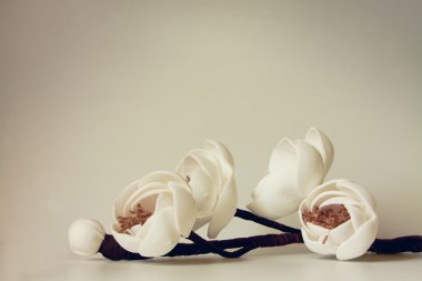 Romantik çiçek çiçekler