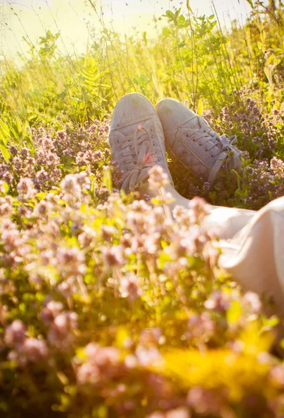 Relajarse en un prado lleno de flores silvestres en el sol de verano —  Fotos de Stock