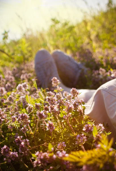 Relaxing in a meadow full of Wild flowers in the summer sun — Stock Photo, Image