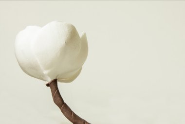 Romantik çiçek çiçekler