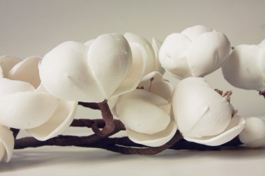 Romantik çiçek çiçekler