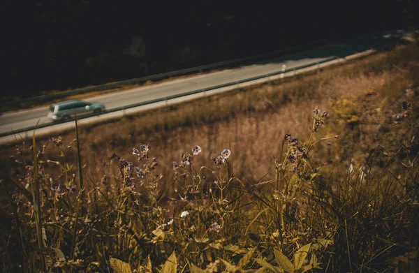 Warm photo of flowers and car on the road background — Stock Photo, Image