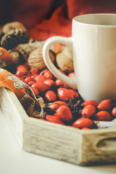 Bodegón de otoño con una taza de té —  Fotos de Stock