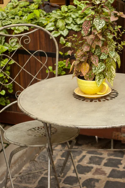 Vintage ao ar livre decoração da casa. Cadeira de ferro, mesa e vaso com um p — Fotografia de Stock