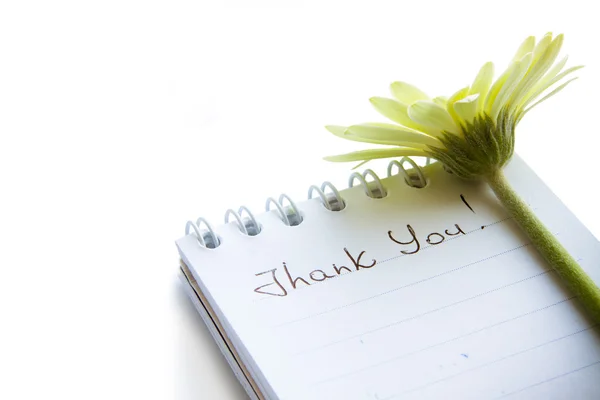 Hand writting text "Thank You" on a white page and romantic flow — Stock Photo, Image