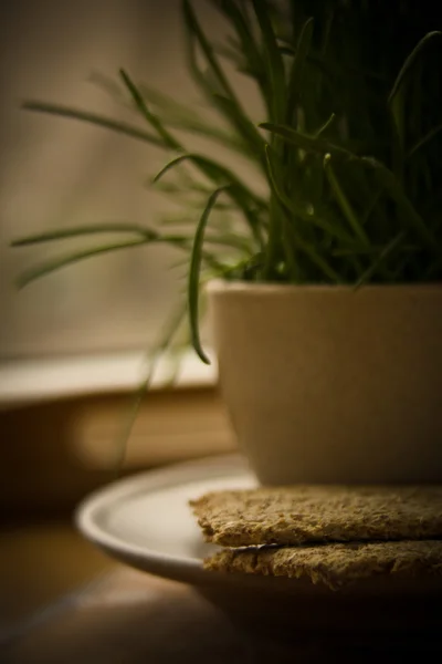 Bandeja con pan crujiente y taza de hierba — Foto de Stock