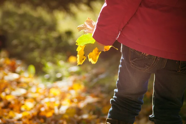 Child in a autumnal park — Stock Photo, Image