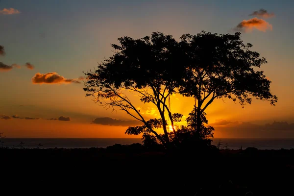 Тропический Закат Маврикии Летнее Время — стоковое фото