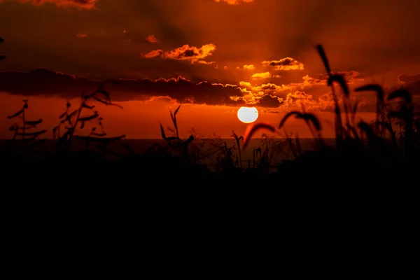 夏の間のモーリシャス共和国で熱帯の夕日 — ストック写真