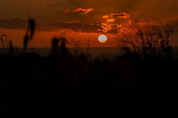 Tropischer Sonnenuntergang Der Republik Mauritius Sommer — Stockfoto