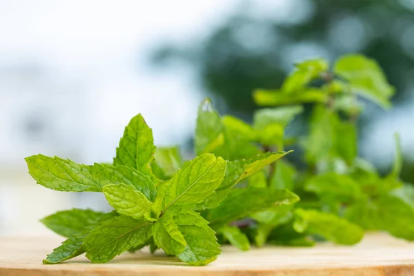 Makrofotografia Świeżego Organicznego Papryki — Zdjęcie stockowe