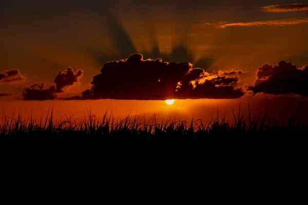 Dramatischer Sonnenuntergang Über Einem Zuckerrohrfeld Der Republik Mauritius — Stockfoto