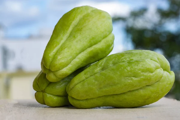 Zucca Chayote Verde Biologica Fresca — Foto Stock