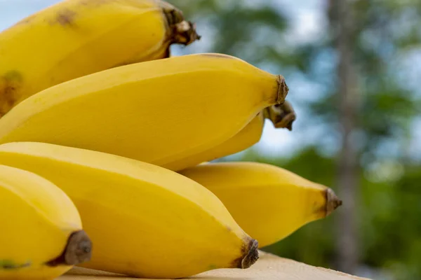 Mazzo Banane Fresche Biologiche Mature Gialle — Foto Stock