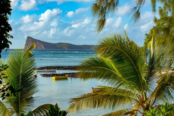 Tropischer Strand Mit Palmen Bei Gunner Quoin Mauritius — Stockfoto