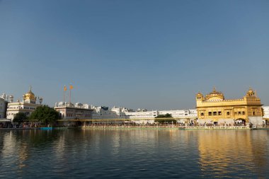 Amritsar 'daki Altın Tapınak, Punjab, Hindistan.