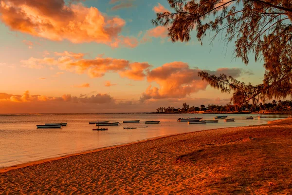 Fiskebåt Stranden Albion Vid Solnedgången Västra Delen Republiken Mauritius Östafrika — Stockfoto