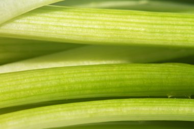 soğan yakın çekim