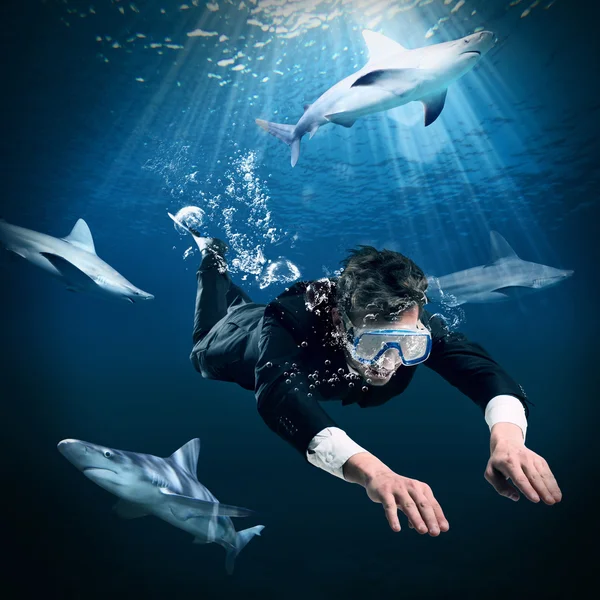 Бизнесмен плавает среди акул — стоковое фото