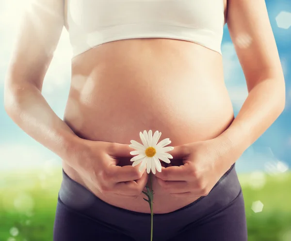 Pregnant woman with daisy — Stock Photo, Image