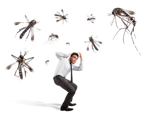 Комарі нападають на наляканого чоловіка — стокове фото