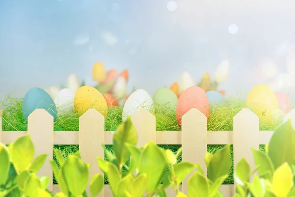 Easter decorations with eggs on a fresh green field — Stock Photo, Image