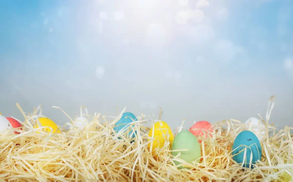 Easter decorations with colored eggs over straw in a sunny day — Stock Photo, Image