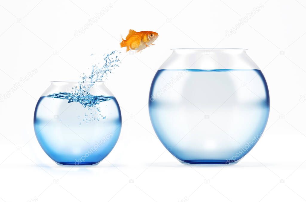 Red fish jumps from a cruet to a bigger one. concept of escape from crowd