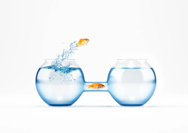 Red fishes migrate to a new cruet. Concept of easy and smart way to change and strategy. — Stockfoto