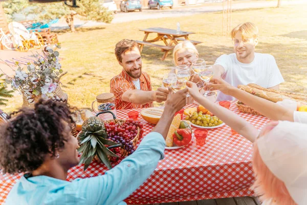 Amigos fazem um piquenique e brindam com vinho — Fotografia de Stock