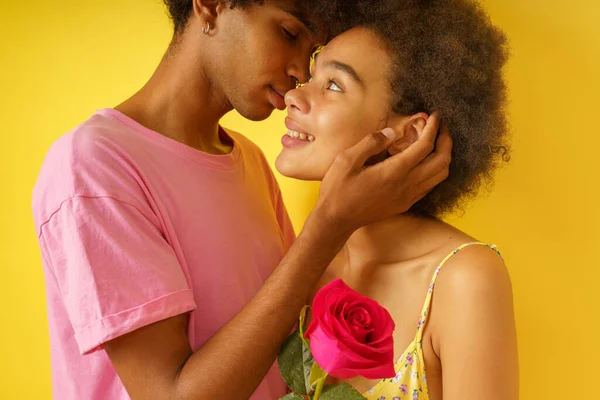 낭만적 인 행복 한 남자가 발렌타인데이에 여자 친구에게 핑크 장미를 선물했어 — 스톡 사진