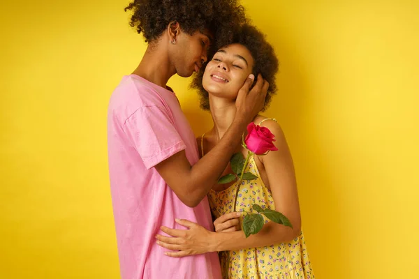 Ρομαντικό άντρα δώσε ένα ροζ τριαντάφυλλο στην κοπέλα της για την ημέρα του Αγίου Βαλεντίνου — Φωτογραφία Αρχείου