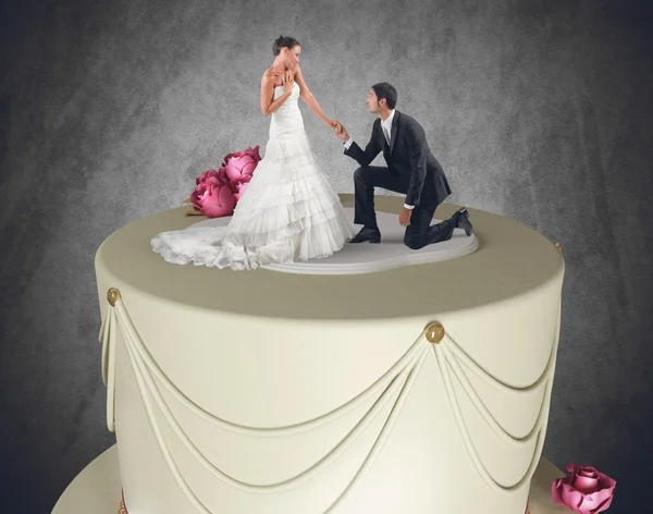 Groom makes proposal to bride — Stock Photo, Image