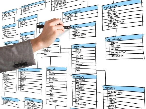 Podnikatel organizuje novou databázi — Stock fotografie