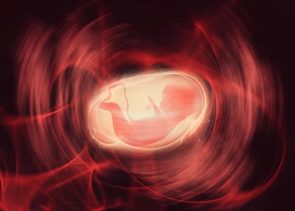 胎儿在母亲子宫里 — 图库照片