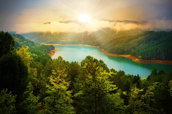 Fluss und grüner Wald — Stockfoto