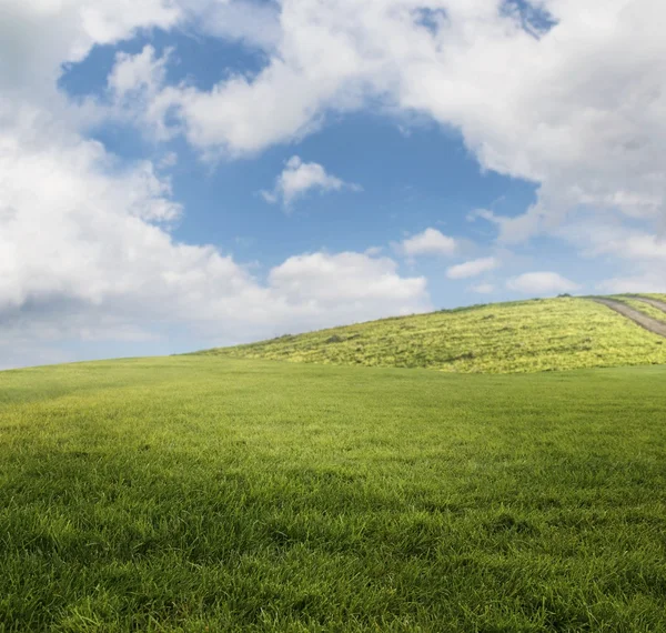 Hill peyzaj çim ile — Stok fotoğraf