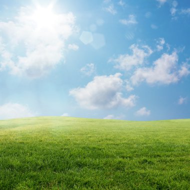 Yeşil Çimen ve Mavi Gökyüzü