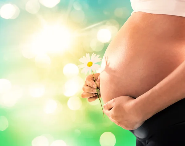 Pregnant woman holding a daisy — Stock Photo, Image