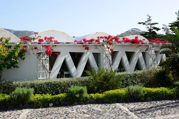 VOTHONAS, THIRA, GRÉCIA - 19 de maio: A decoração do Museu do Vinho Koutsoyannopoulos em 19 de maio de 2014 em Vothonas, Thira, Grécia. É ocupa uma caverna natural e tem uma forma labiríntica . — Fotografia de Stock