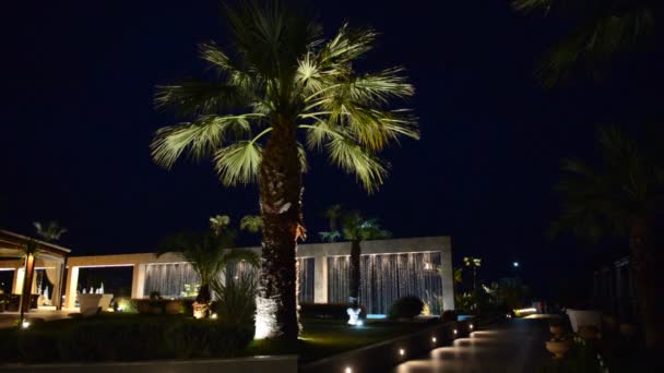 Palm tree in night illumination at the luxury hotel, Halkidiki, Greece — Stock Video