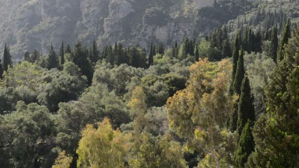 Przesuwanie gór, cyprysów i drzew oliwnych, na wyspie Korfu, Grecja — Wideo stockowe