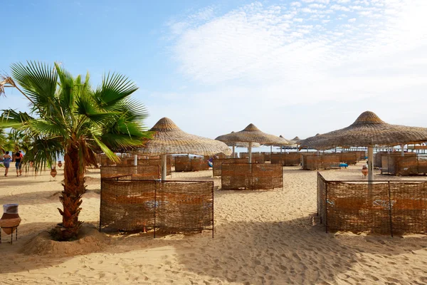 Palma sulla spiaggia in hotel di lusso, Hurghada, Egitto — Foto Stock