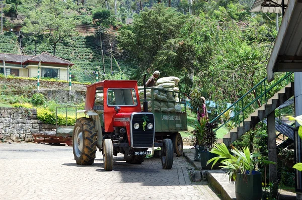 NUWARA ELIYA, SRI LANKA - 18 OTTOBRE: I lavoratori scaricano sacchetti con foglie di tè. 18 ottobre 2011 a Nuwara Eliya, Sri Lanka. Direttamente e indirettamente, oltre un milione di srilankesi sono impiegati nell'industria del tè — Foto Stock