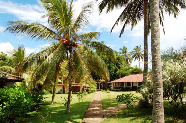 popüler otel ve avuç içi, bentota, sri lanka, tatil villa