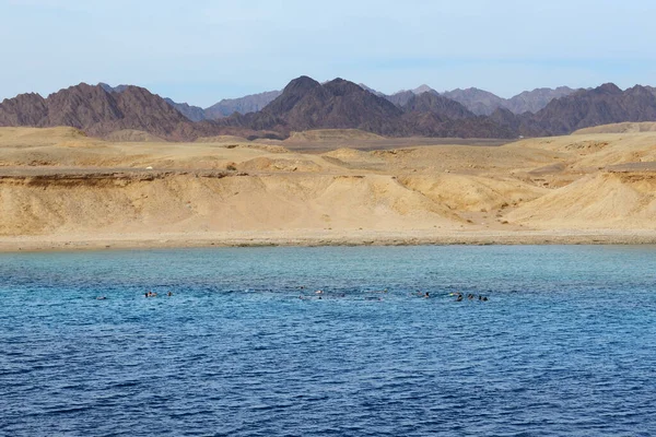 Snorkeling Toursts Ras Muhammad National Park Sharm Sheikh Egypt Стокове Зображення