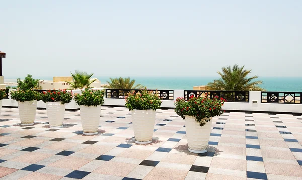 Cserépben virágok: a luxus hotel, ras al khaimah, Egyesült Arab Emírségek — Stock Fotó